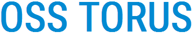 Torus Logo
