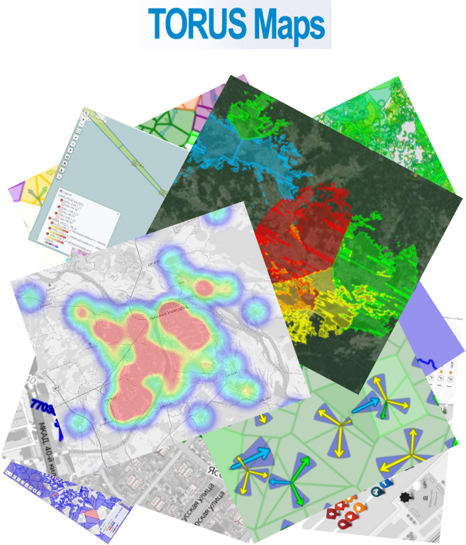 Torus Maps